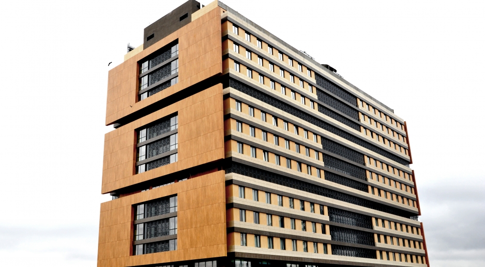 29 Mayıs Üniversitesi